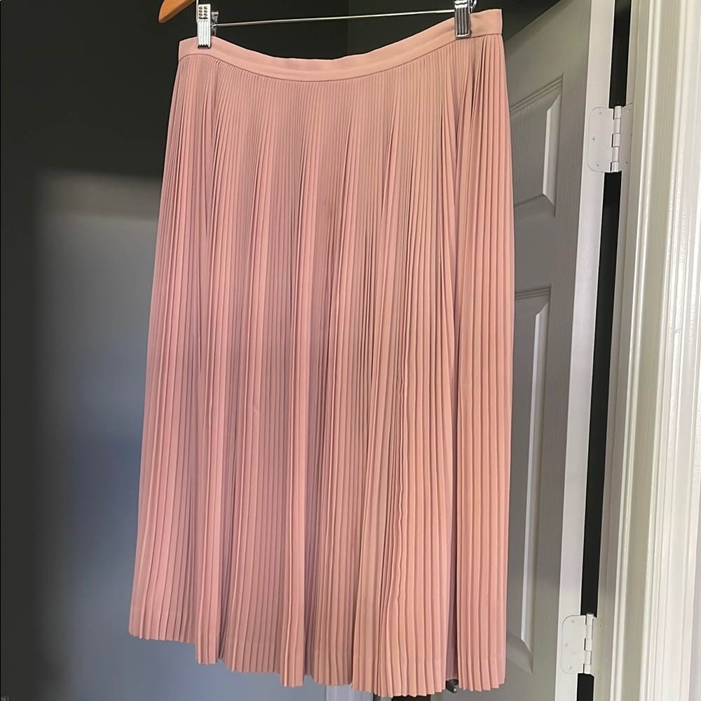 J. Crew Soft Pink Pleated Midi Skirt | 12